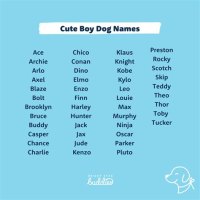 Cutest Puppy Names 2021