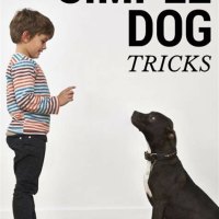 What Tricks Should I Teach My Puppy